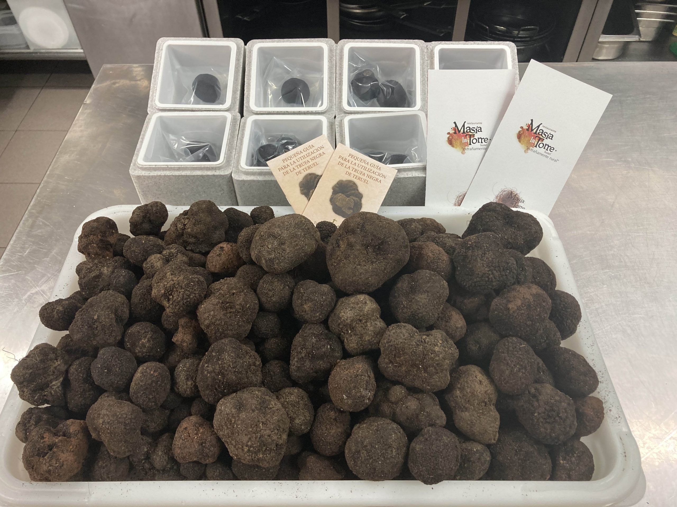 Trufas de Masía la Torre