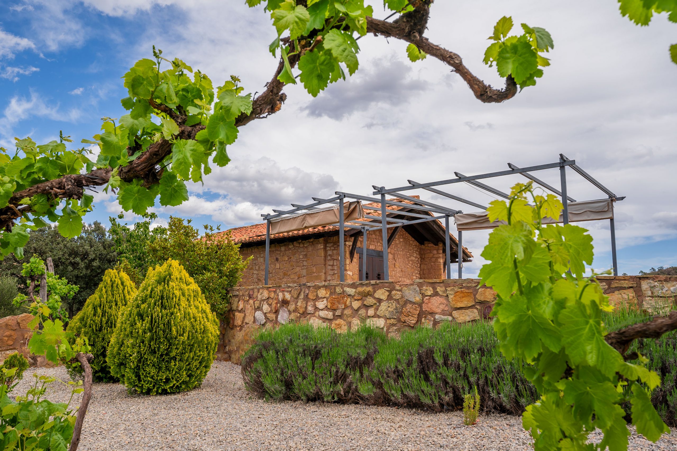 Masía la Torre - foto del hotel